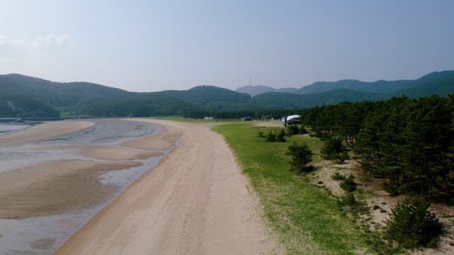 Beach Bordered by a Lush Forest of Trees