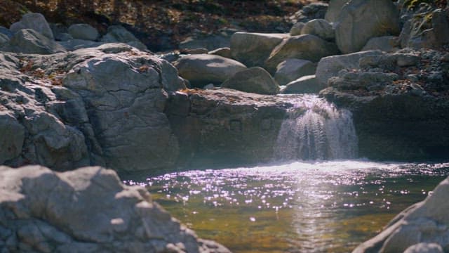 Tranquil Waterfall in Sunny Forest Clearing