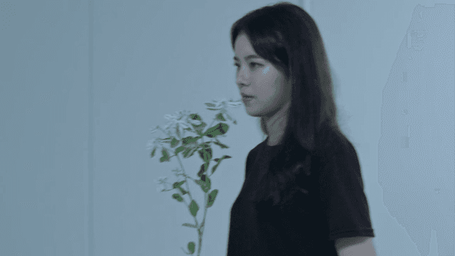 Woman placing a potted plant on a table near a window with blinds