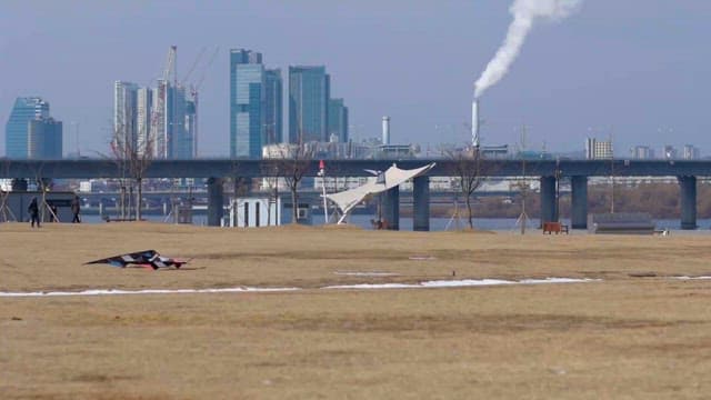 Kite Flying in Park with City Skyline