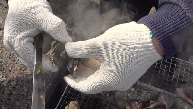 Opening oysters on a grill with gloves