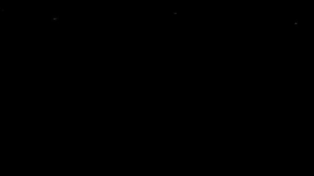 Graphic Effect of Fireflies Illuminating the Darkness