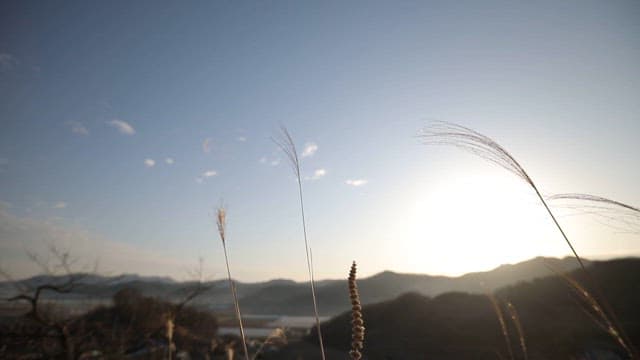 Sun rising over serene hills with dried grass in the foreground.