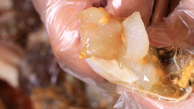 Stuffed Soy Sauce Marinated Crab with Meat