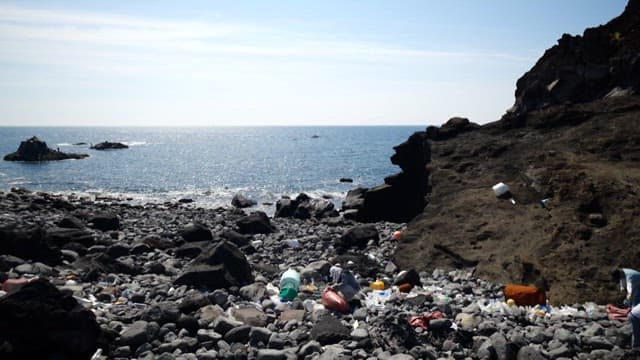 Volunteers cleaning up plastic waste on rocky coast