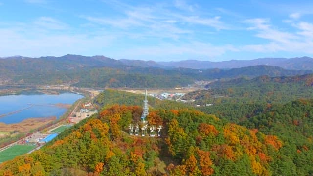 Autumn Hills with Colorful Leaves