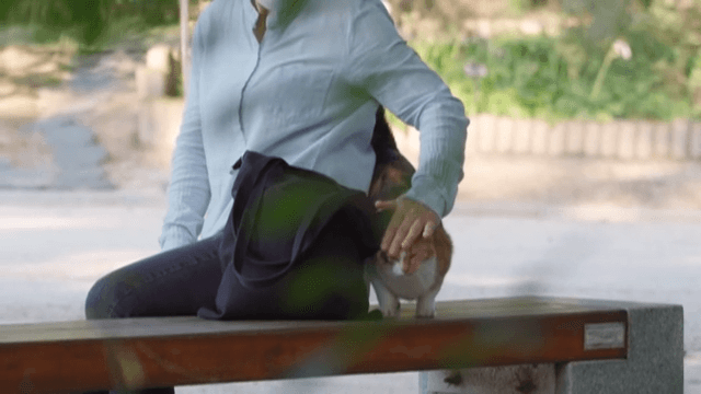 Woman and Cat at the Park Bench