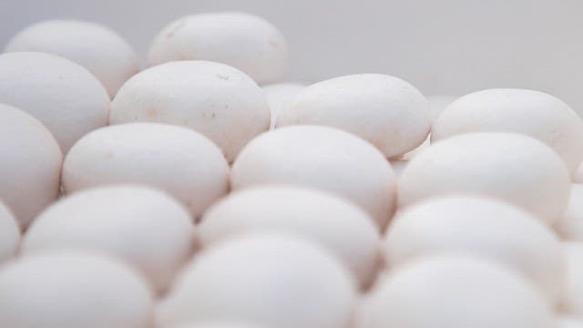 Close-up of white mushrooms in a white container