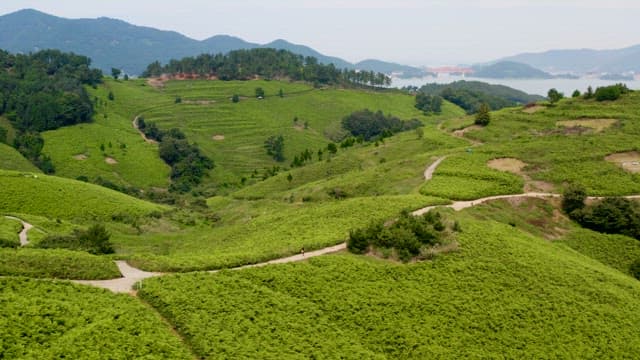 Walking Path Between Refreshing Green Hills