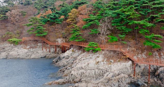Walkway Between a Autumn Forest and a Blue Sea