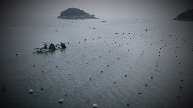 Seascape with a view of the fish farm and a fishing boat