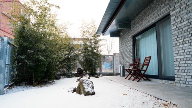 Snow-covered backyard with bamboo and chairs