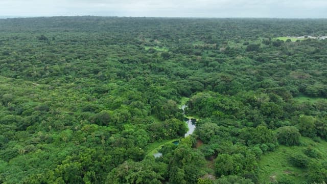 Blue hole in the middle of a rainforest full of greenery