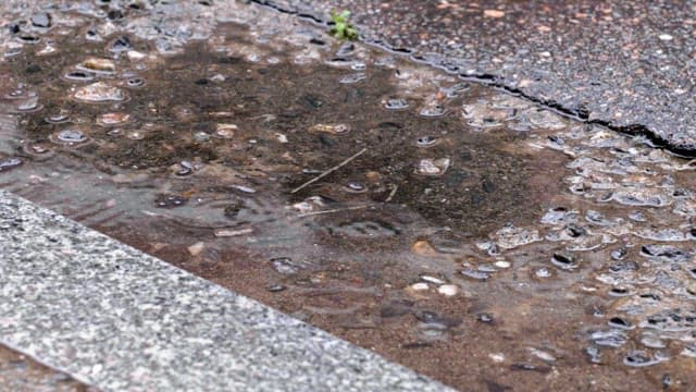 Rain droplets creating ripples in a roadside puddle