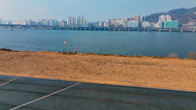 Sports Court in Hangang Park with Focks of Birds