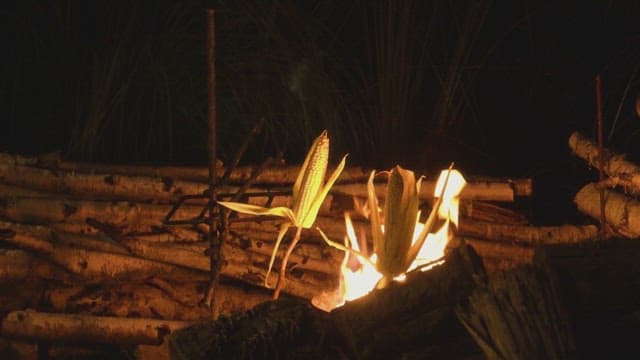 Corn roasting over an open fire
