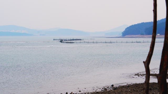 Quiet beach with farm nets visible in the distance