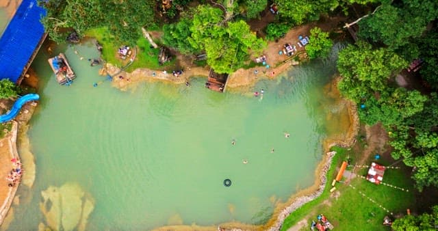 People Relaxing by a Lush Forest Lake