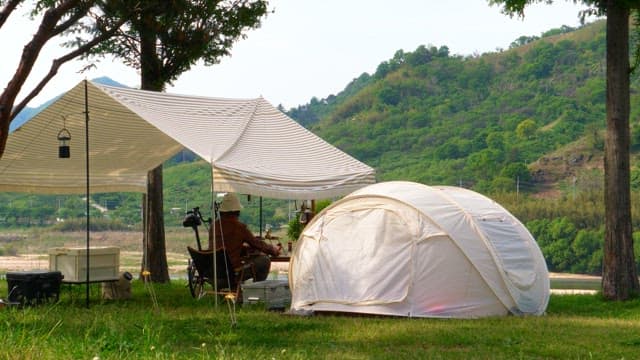 Person camping in the lush greenery by the trees
