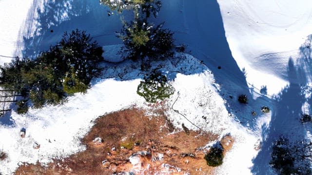 Snow-covered Landscape with Mountains and Trees