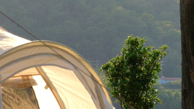 Tent setup in the early morning light with trees
