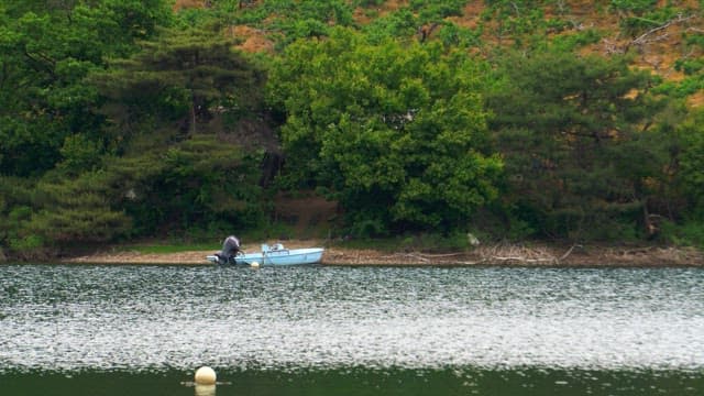 A lone boat along the forested riverbank on a calm day