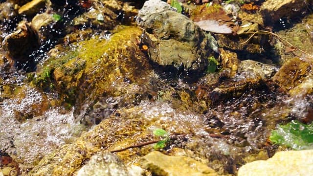 Small stream flowing over rocks