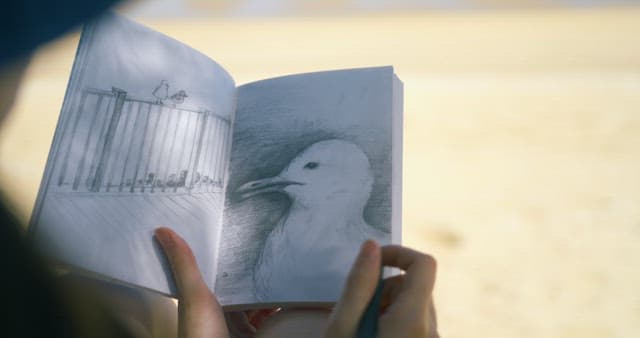 Sketching a Seagull in a Coastal Setting