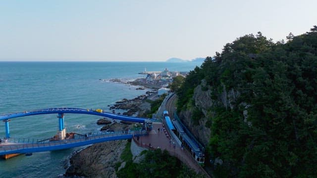 Coastal train passing through a coastal lookout and lush forests