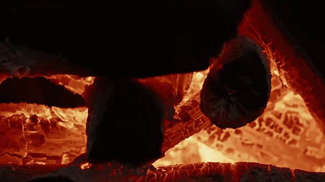 Burning logs with glowing embers