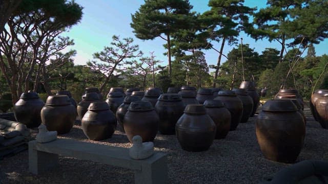 Traditional ceramic pots in a serene garden