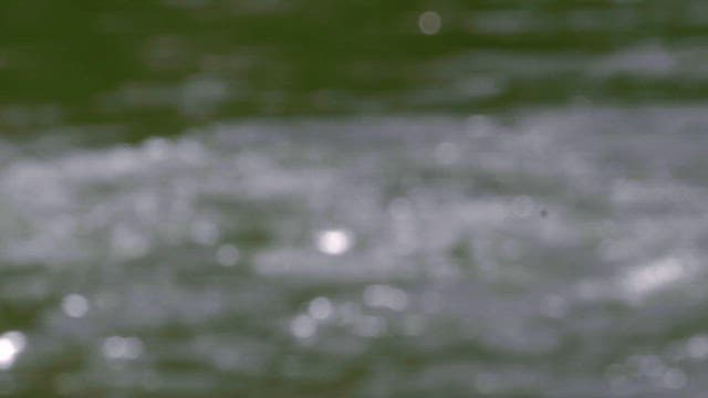 Rippling river surface in sunlight