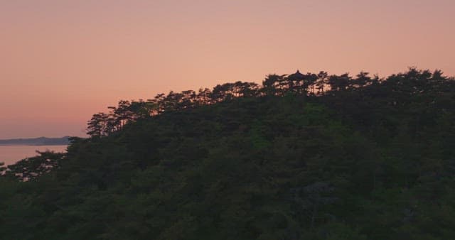 Sunset over a forested hill and sea