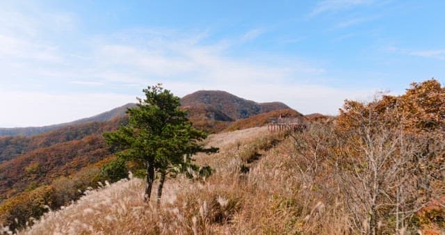 Wooden lookout on a scenic mountain trail