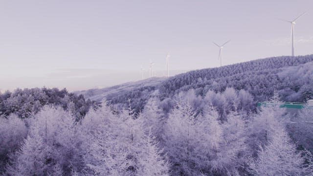 Wind Generator Overlooking a Snowy and Frosty Forest
