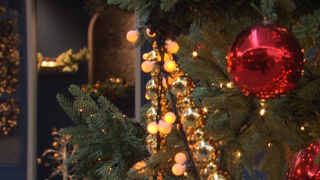 Decorated Christmas Tree with Lights and Ornaments