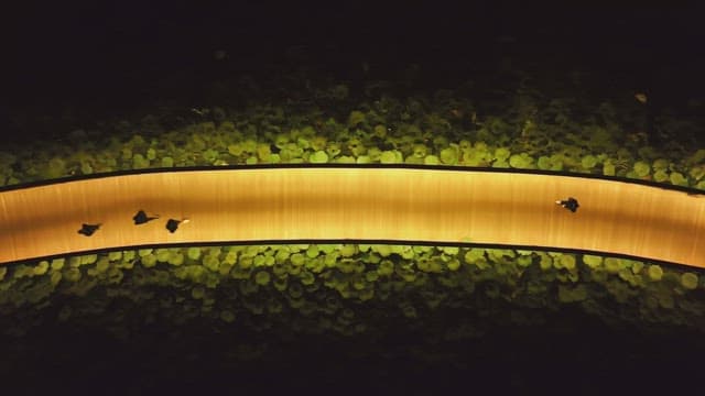 Nighttime walkway with people walking