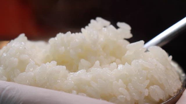 Spoonful of cooked rice with steamy background