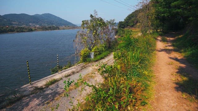 Tranquil riverside path under a clear blue sky