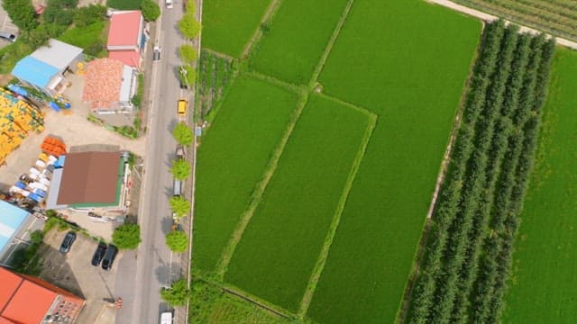 Aerial view of a rural village with farmlands