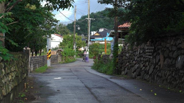 Two elderly people walking down a serene village road.