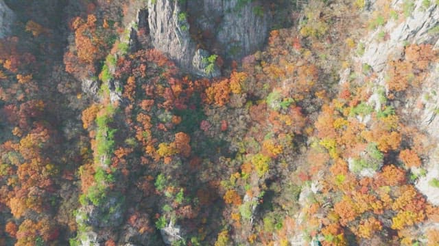 Colorful autumn mountains with rocky peaks
