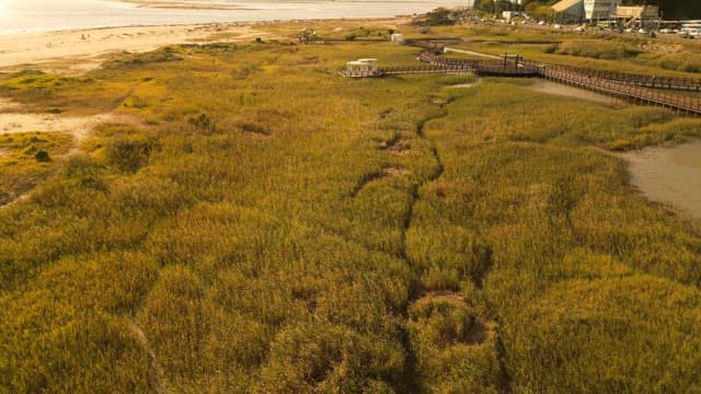 Vast grassland with long boardwalk