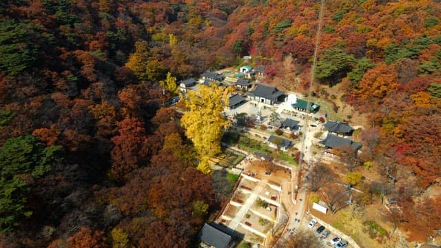 Serene temple surrounded by colorful autumn foliage