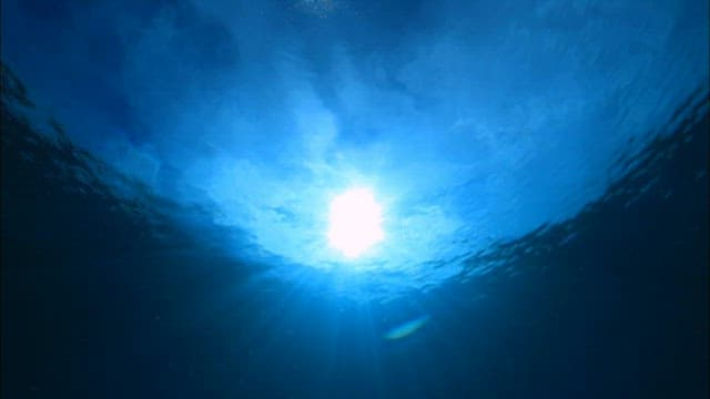 Small boats passing by seen from underwater
