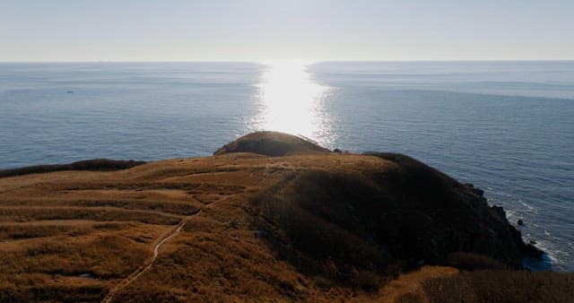 Serene Coastal Landsacape with Sun Reflecting on Water