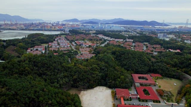 Arial View of Urban District Bordering a Lush Forest