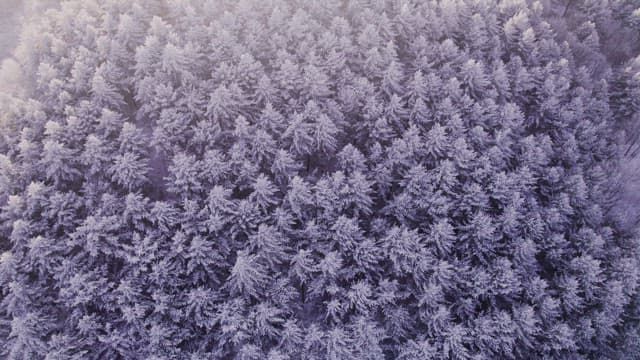 Mountains Covered White with Snow at Dawn