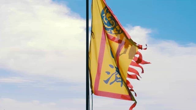 Flag Fluttering in the Sky