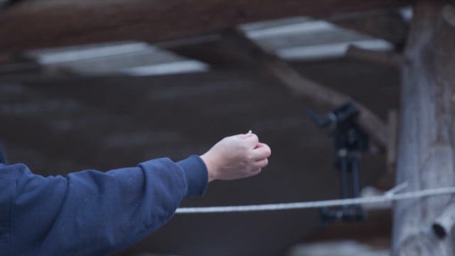 Person feeding a small bird in an outdoor setting